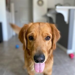 Meet your Posher, Neftali